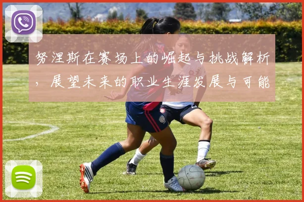 努涅斯在赛场上的崛起与挑战解析，展望未来的职业生涯发展与可能性
