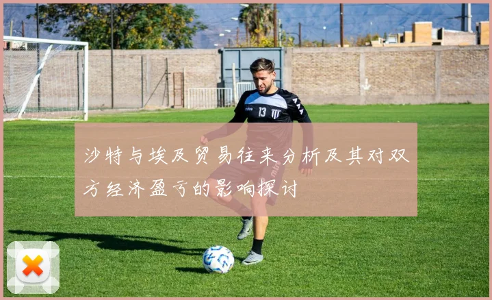 沙特与埃及贸易往来分析及其对双方经济盈亏的影响探讨